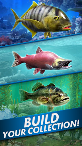 Go Fishing! Fish Game screen 5